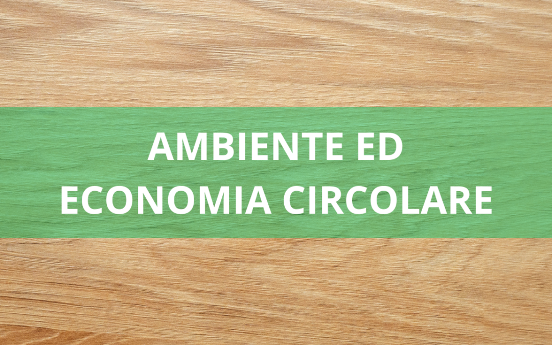 Il Green Deal europeo: opportunità e strategie per la Circular Economy